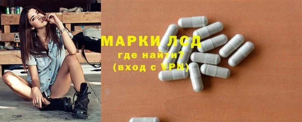 индика Беломорск