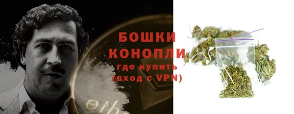 индика Беломорск