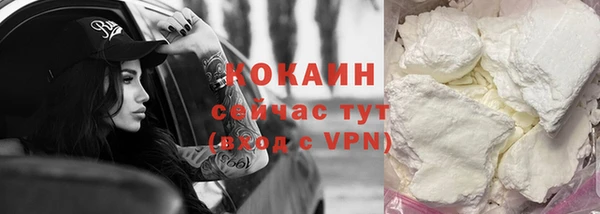 индика Беломорск