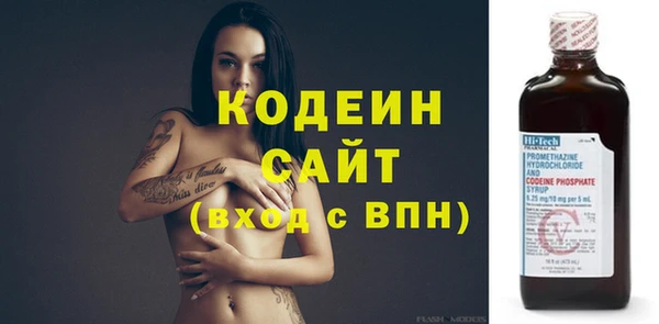 индика Беломорск