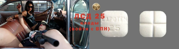 индика Беломорск