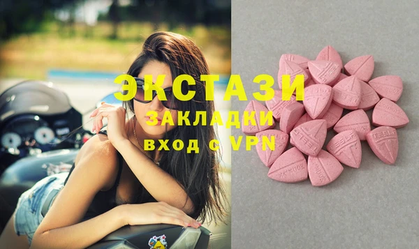 индика Беломорск