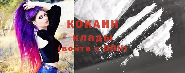 индика Беломорск