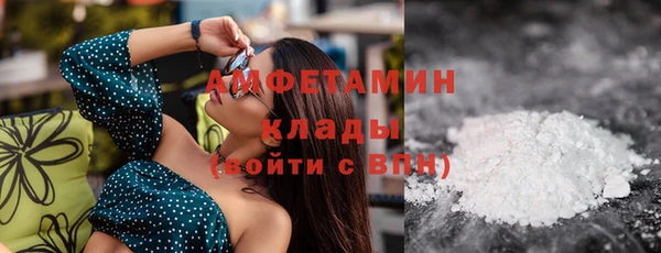 индика Беломорск
