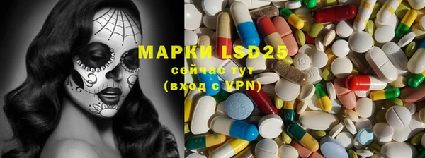индика Беломорск