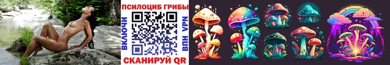 закладки  Пионерский  площадка какой сайт  Псилоцибиновые грибы Cubensis 